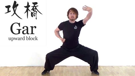Learn Kung Fu Choy Li Fut Blocks Youtube