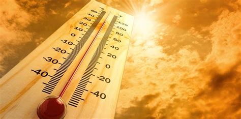 Killer Heatwave Oxford Institute Of Population Ageing
