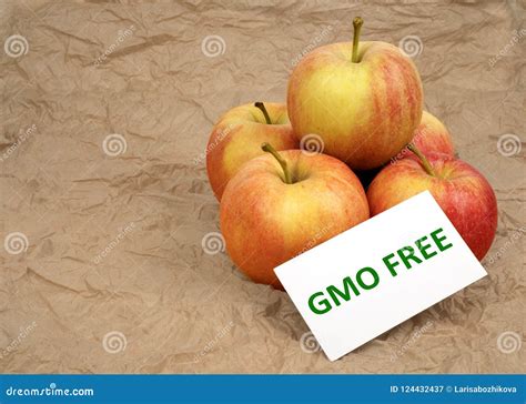 Fresh Apples Gmo Free Stock Image Image Of Fruit Apples 124432437
