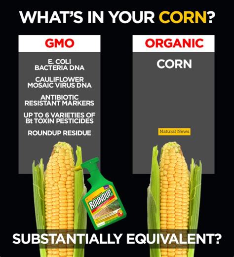Whats In Your Corn