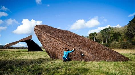 Bristol Whales Willow Sculpture Dives Into Nature Reserve Home Bbc News