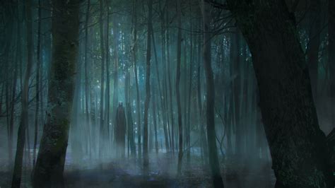 Creepy Forest Wallpaper Hd Wallpapers