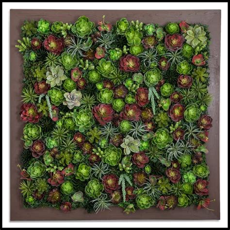 Succulent Living Wall 96inl X 48inh