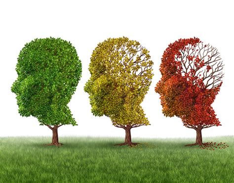 What Are The Stages Of Dementia University Health News