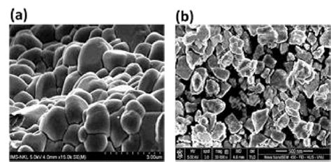 Sem Images Of Particle Size Of The Pzt Before And After Grinding