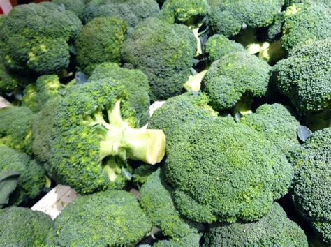 Sowing seeds broccoli can be direct seeded or started indoors for transplants. A Broccoli Plant on emaze