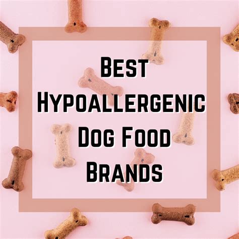 Top 5 Hypoallergenic Dog Food Brands Pethelpful
