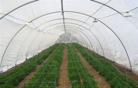 Insect Net Types Of Insect Net In Agriculture India