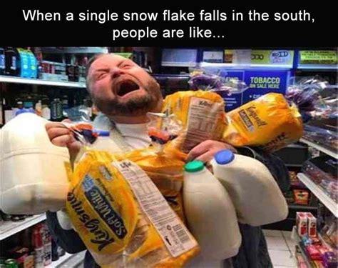 Snow In The South Meme Daily Status