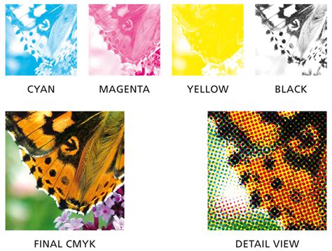 Everything You Need To Know About Cmyk Printing
