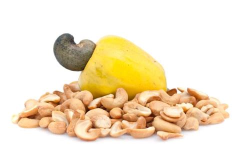 Cashew Nuts Everything You Need To Know Gymbeam Blog