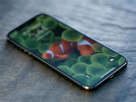 Reports state that apple will return to the regular september launch window of previous iphones, meaning you won't have to wait as long for the 2021 flagship to debut. iPhone 13 (2021): Rumors, release date, price, features ...