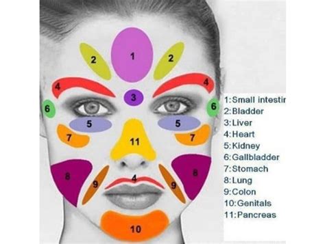 Face Mapping A Facial Spot Map That Reveal About Your Health