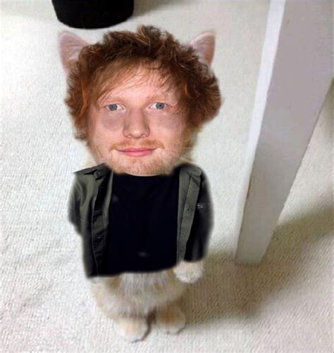 Ed Sheeran El Gato Pfp