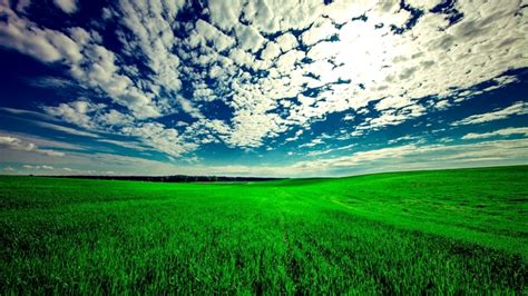1920x1080 Green Grass Summer Nature Clouds Sky Field