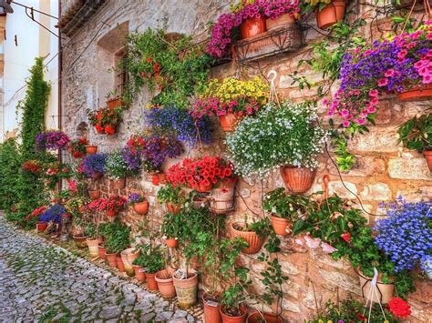 Creating A Hanging Italian Wall Garden Grand Voyage Italy