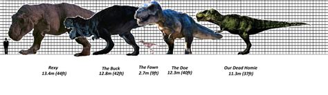 Jurassic Park Movie Tyrannosaur Size Chart Jurassic Park T Rex