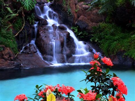 Tropical Waterfalls Wallpapers Top Free Tropical Waterfalls Backgrounds Wallpaperaccess