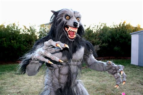 Werewolf Full Hd Wallpaper And Background Image 1920x1279 Id315847