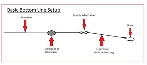 Fishing Tip for Beginners2: Basic Bottom Rig Setup | Fishing tips, Fly fishing equipment, Best