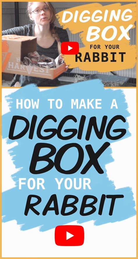 Make A Diy Digging Box For Your Rabbit Pet Bunny Rabbits Bunny