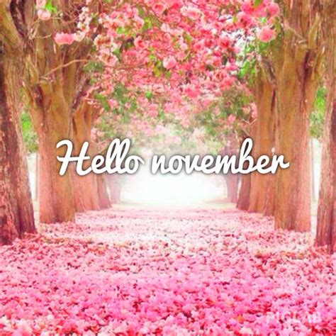 Pretty Hello November Quote Pictures Photos And Images For Facebook