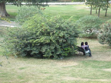 Sped some time with you family and kids in beautiful park of delhi such as deer location : Mindboggling India : Typical India Darshan: 10 best ...
