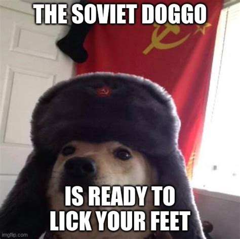 Russian Doge Imgflip