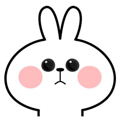 rabbit GIF | Find, Make & Share Gfycat GIFs