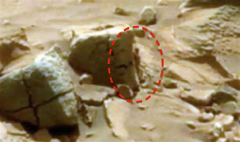 Aliens Latest Claim ‘alien Being Found On Mars In Nasa Curiosity