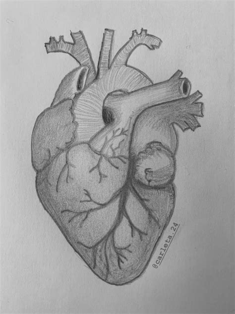 Dibujo De Un Corazon A Lapiz Cómo Dibujar Un Corazón Paso A Paso