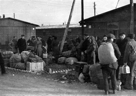 Displaced Persons Camps In Post World War Ii Germany