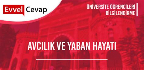 Ancak üniversite adayları 2020 taban puanları yardımıyla güncel üniversite taban puanları hakkında ön fikir ediniyor. Avcılık ve Yaban Hayatı 2 Yıllık Taban Puanları 2020