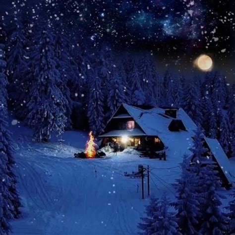 Winter Night Snowing Fall ️ Video Winter Snow Wallpaper Christmas