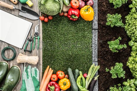 Gardening Farming Agriculture And Healthy Lifestyle Posters Set A4
