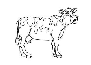 Desenhos De Vacas Para Imprimir E Colorir Com L Pis De Cor