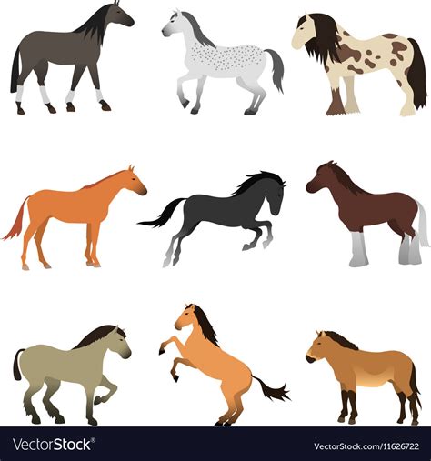 Different Horses Breed Set Royalty Free Vector Image
