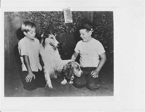 Tommy Rettig Lassie Rare Photo Joey D Vieiva Ebay