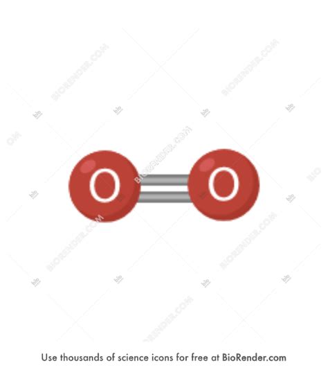 Free Oxygen Molecule Icons Symbols And Images Biorender