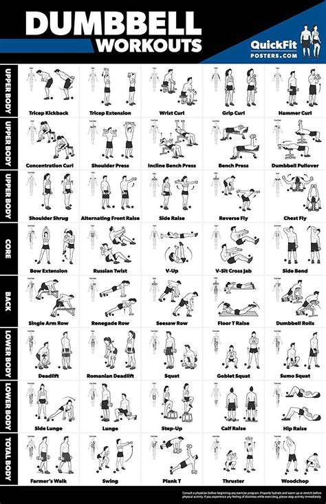 Dumbbell Workout Exercise Poster Laminated Free Weight Body Building Guide Home Gym Chart