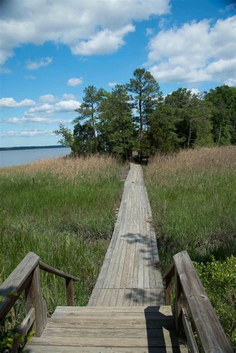 York River State Park Features An Awesome Boardwalk Hike