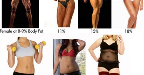 Which Female Body Type Is The Most Attractive To You Girlsaskguys