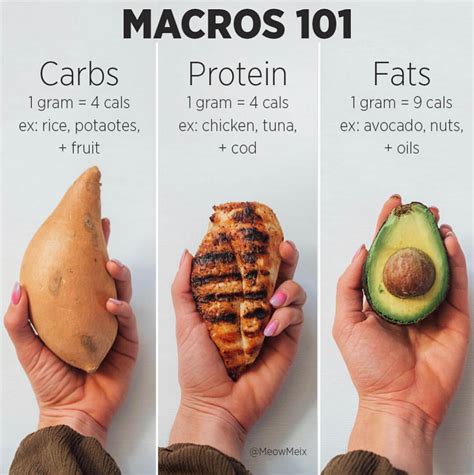 Macros 101 How Tracking Macros Can Help You Achieve Your Goals Meowmeix