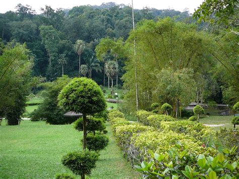 Botanical garden in penang you will not miss this landmark. Top 10 Things To See & Do in Georgetown, Penang