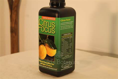Citrus Trees Citrus Fertiliser Year Round Feed