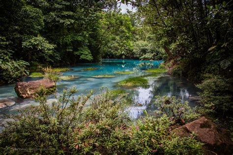 7 Reasons To Do Water Rafting In Tenorio River Guanacaste Tours