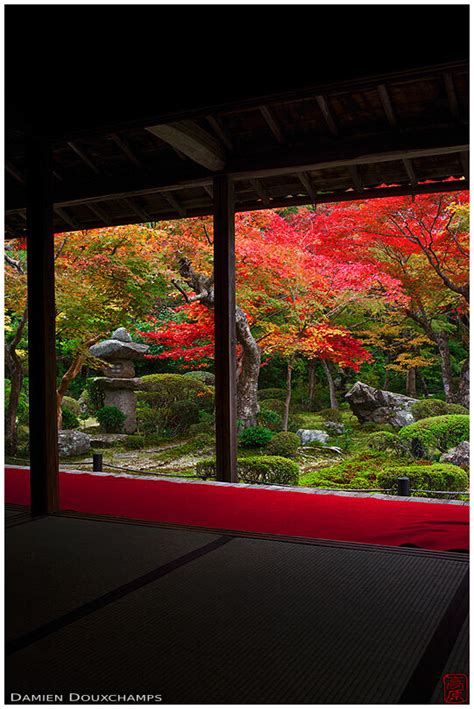 Zen Garden In Autumn From Meditation Hall Enko Ji Temple 14