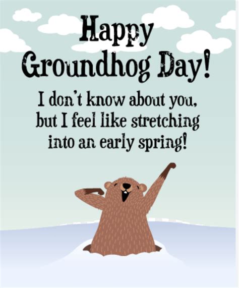 Groundhog Day Is A Popular Observance In Many Parts Of The United States Although Some States