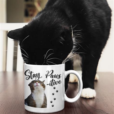 Stay Paws-itive - Positive, Motivational Cat Mug