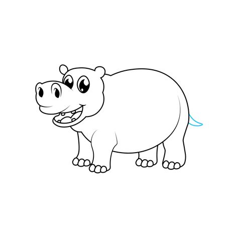 How To Draw A Hippo Step By Step